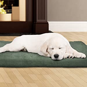 <strong>Ortopedický matrac pre psa predstavuje luxus na najvyššej úrovni</strong>