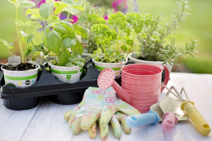 Domček na náradie dodá vašej záhrade čistý vzhľad a poriadok